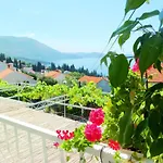 Guest House Kate 3*