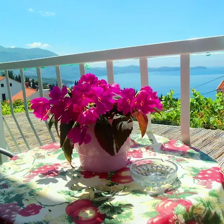 Guest House Kate Πανσιόν