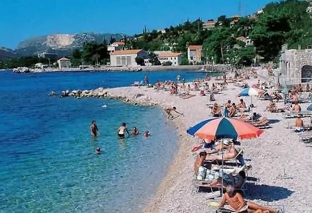 招待所 Kate 米利尼