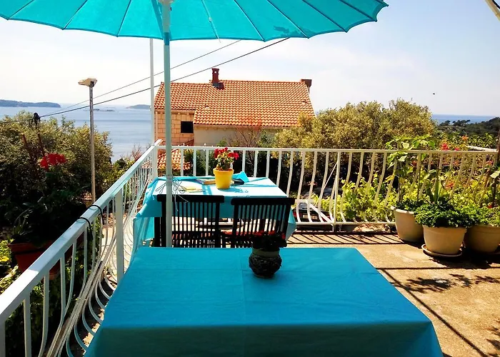 招待所 Kate 米利尼