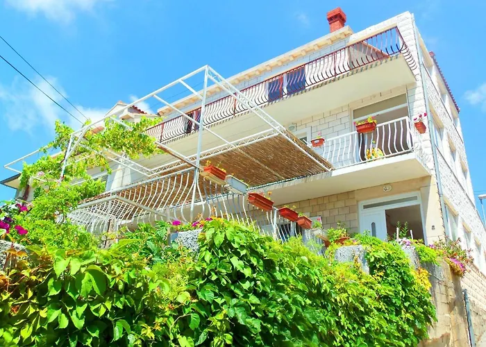 招待所 Kate 米利尼