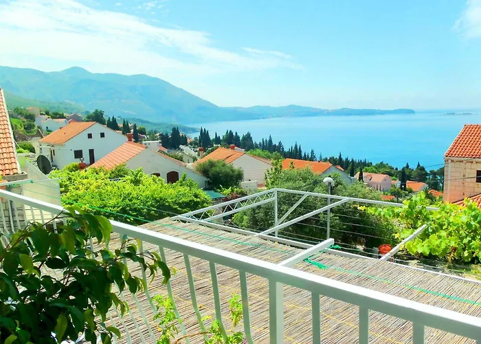 招待所 Kate 米利尼