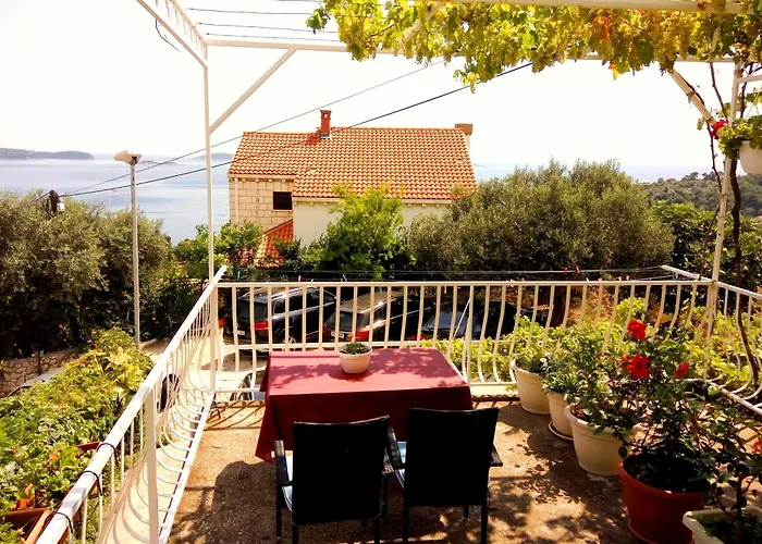 Kate 招待所 米利尼